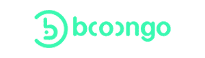 Provider booongo